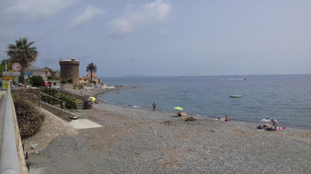 Agreable Studio Debut Cap Corse Proche Bastia San-Martino-di-Lota Ngoại thất bức ảnh