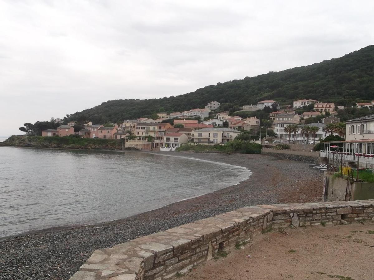 Agreable Studio Debut Cap Corse Proche Bastia San-Martino-di-Lota Ngoại thất bức ảnh